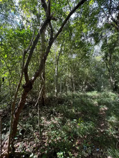 Terreno en México, Yucatán, Valladolid, Rancho o rancheria Popola, foto 5