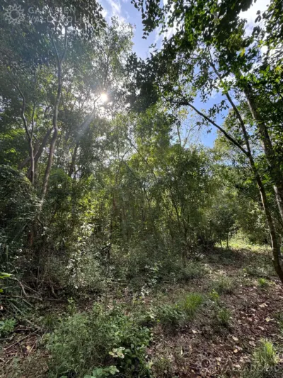 Terreno en México, Yucatán, Valladolid, Rancho o rancheria Popola, foto 6