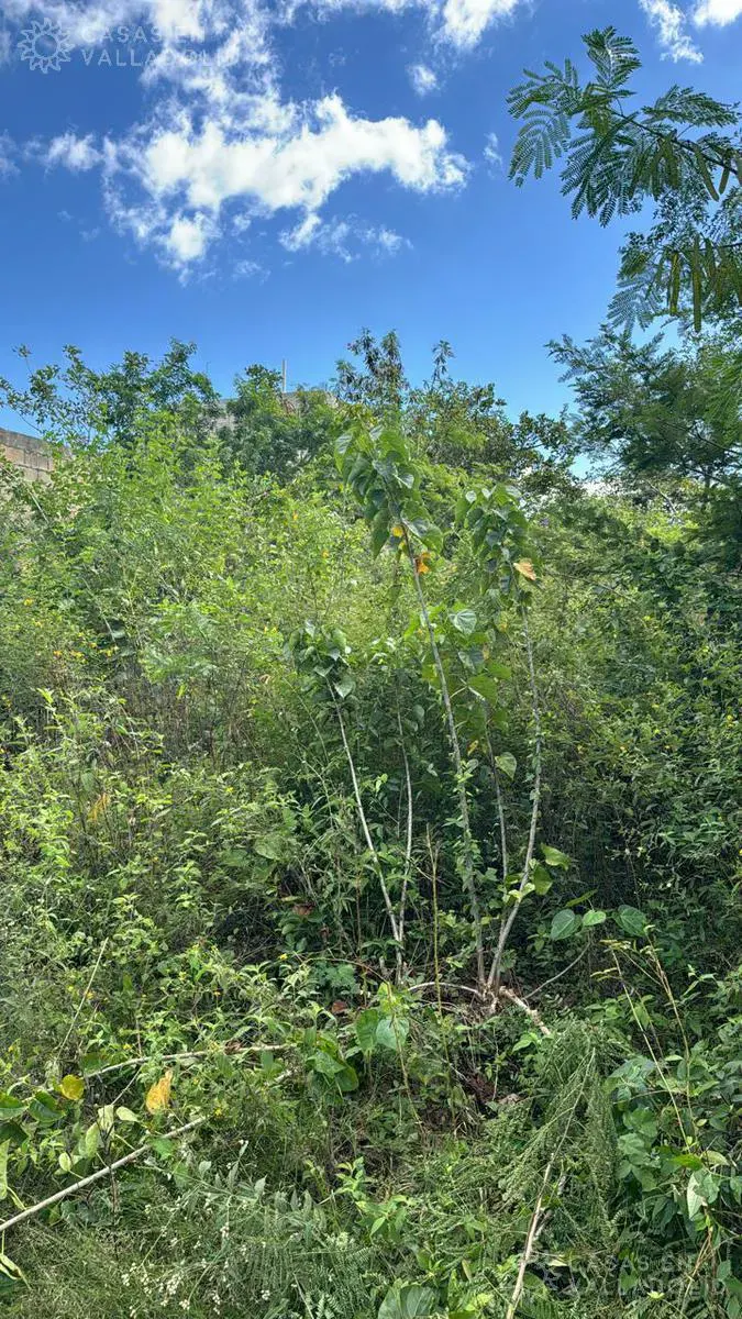 Land in México, Yucatán, Valladolid, photo 1