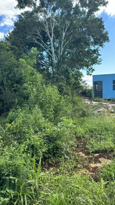 Land in México, Yucatán, Valladolid, photo 3