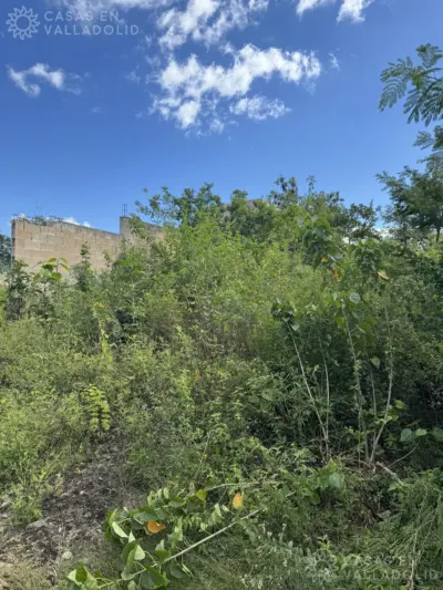 Land in México, Yucatán, Valladolid, photo 5