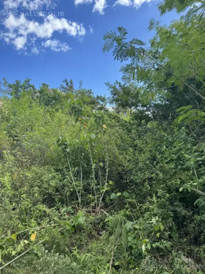 Land in México, Yucatán, Valladolid, photo 6