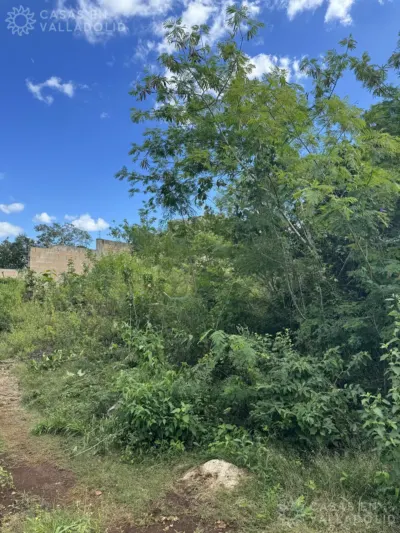 Land in México, Yucatán, Valladolid, photo 8