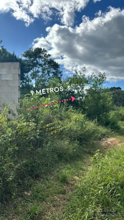 Land in México, Yucatán, Valladolid, photo 10