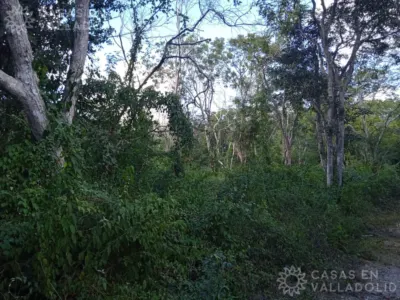 Land in México, Yucatán, Valladolid, Pueblo Dzitnup, photo 2
