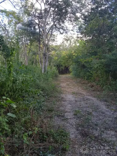 Land in México, Yucatán, Valladolid, Pueblo Dzitnup, photo 3