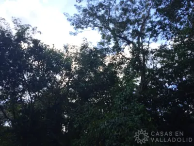Land in México, Yucatán, Valladolid, Pueblo Dzitnup, photo 4
