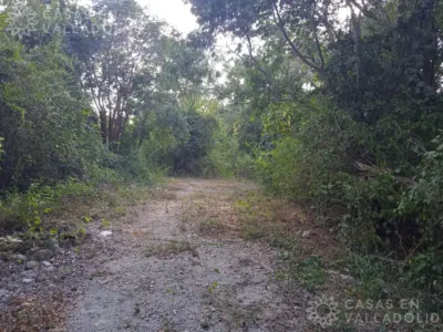 Land in México, Yucatán, Valladolid, Pueblo Dzitnup, photo 5