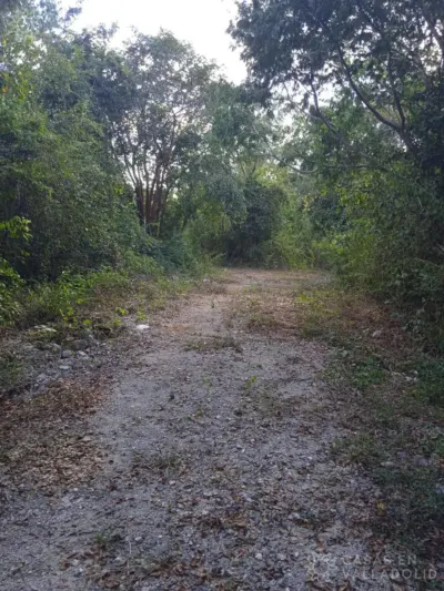Land in México, Yucatán, Valladolid, Pueblo Dzitnup, photo 6