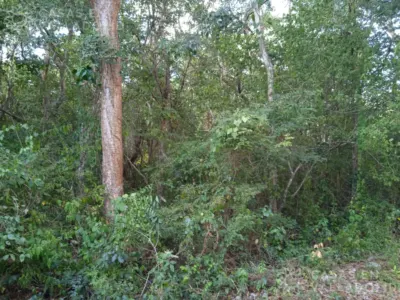 Land in México, Yucatán, Valladolid, Pueblo Dzitnup, photo 7