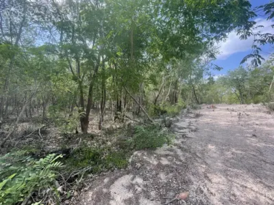 Land in México, Yucatán, Valladolid, photo 1