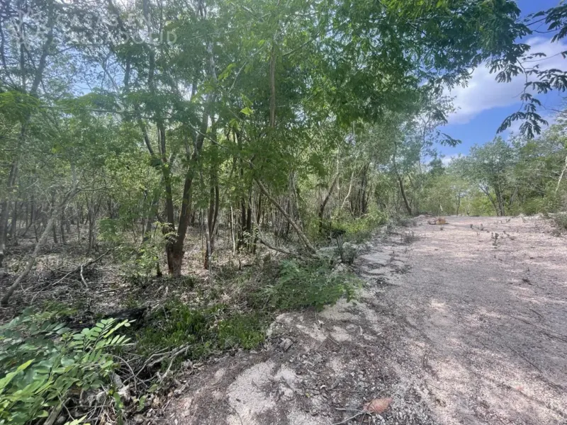 Land in México, Yucatán, Valladolid, photo 1