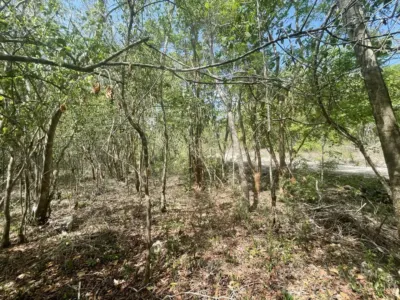 Land in México, Yucatán, Valladolid, photo 4