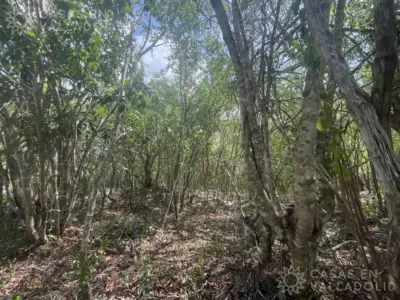 Land in México, Yucatán, Valladolid, photo 5