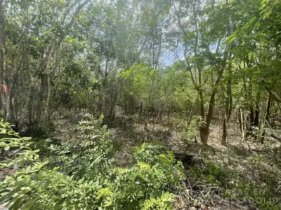 Land in México, Yucatán, Valladolid, photo 6