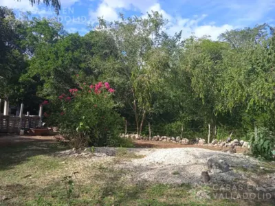 Land in México, Yucatán, Kaua, photo 1