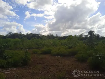 Land in México, Yucatán, Kaua, photo 2