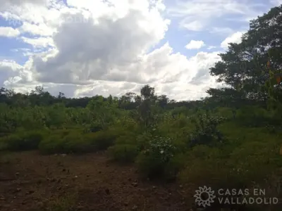 Land in México, Yucatán, Kaua, photo 3