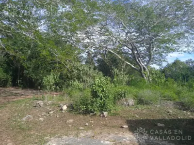 Land in México, Yucatán, Kaua, photo 4