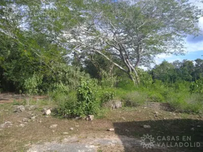 Land in México, Yucatán, Kaua, photo 5