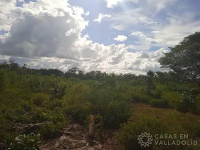 Land in México, Yucatán, Kaua, photo 7