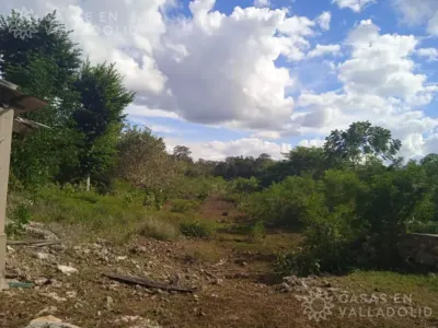 Land in México, Yucatán, Kaua, photo 8