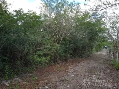 Land in México, Yucatán, Valladolid, photo 2
