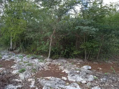 Land in México, Yucatán, Valladolid, photo 3