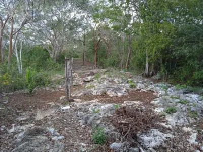 Land in México, Yucatán, Valladolid, photo 4
