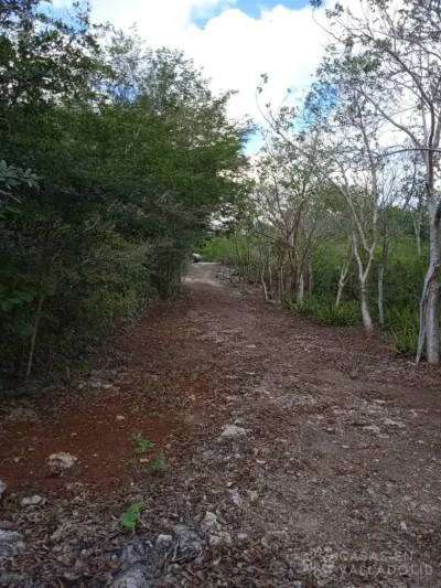 Land in México, Yucatán, Valladolid, photo 5