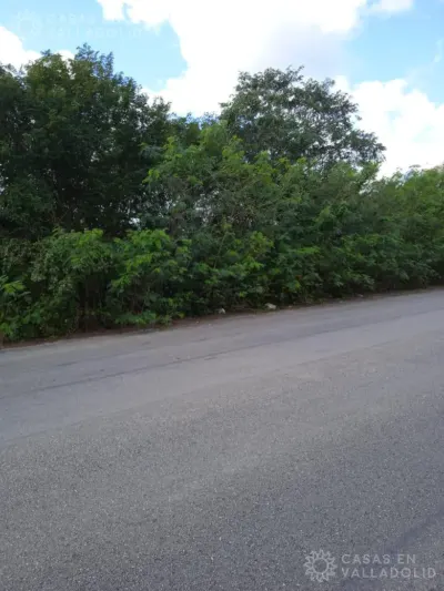 Land in México, Yucatán, Valladolid, photo 8