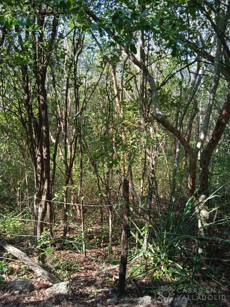 Terreno en México, Yucatán, Valladolid, foto 1
