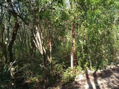 Land in México, Yucatán, Valladolid, photo 3