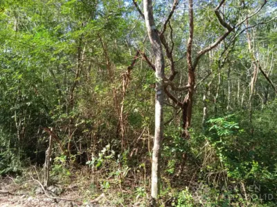 Land in México, Yucatán, Valladolid, photo 5