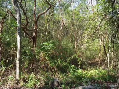 Land in México, Yucatán, Valladolid, photo 6