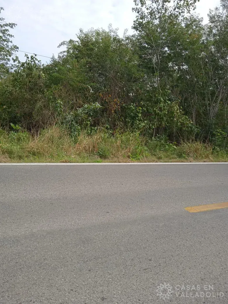 Land in México, Yucatán, Tixcacalcupul, photo 1
