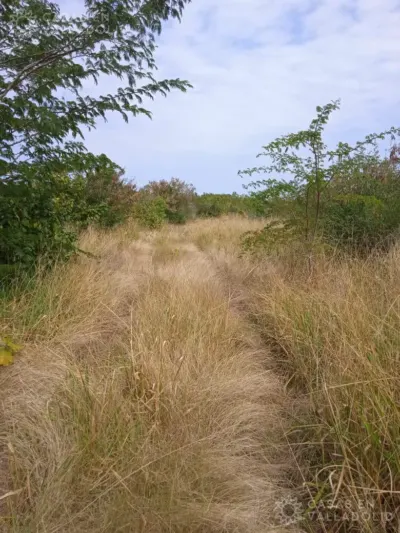Terreno en México, Yucatán, Tixcacalcupul, foto 3