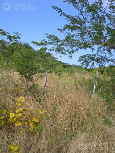 Terreno en México, Yucatán, Tixcacalcupul, foto 4