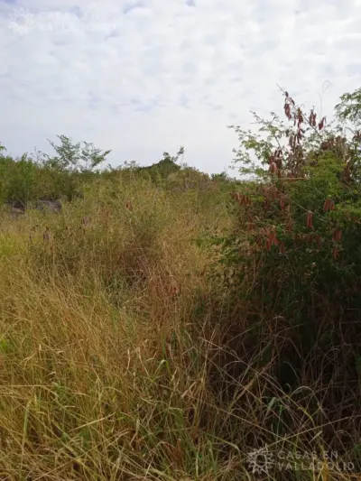 Terreno en México, Yucatán, Tixcacalcupul, foto 5