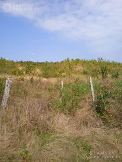 Terreno en México, Yucatán, Tixcacalcupul, foto 7