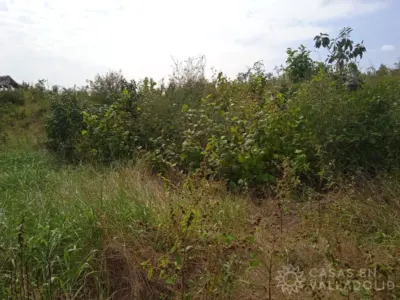 Terreno en México, Yucatán, Tixcacalcupul, foto 8