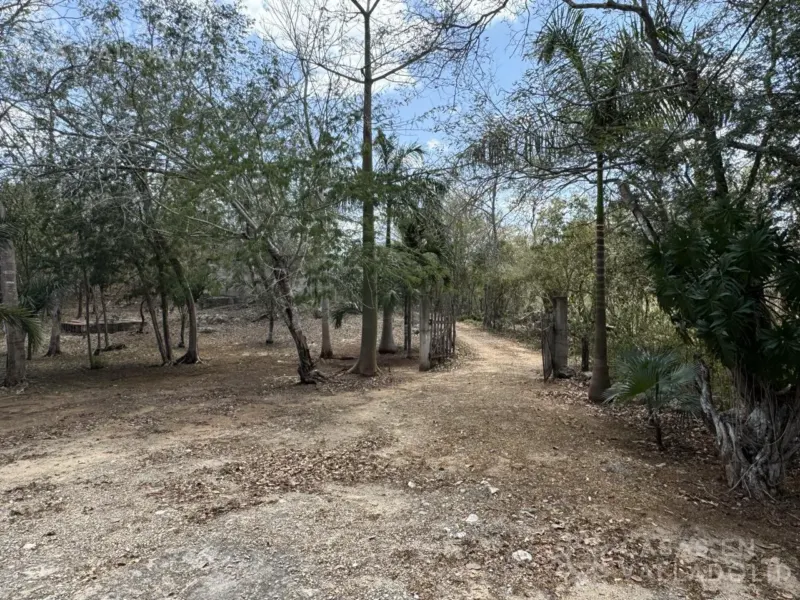 Land in México, Yucatán, Valladolid, Pueblo Ebtun, photo 1