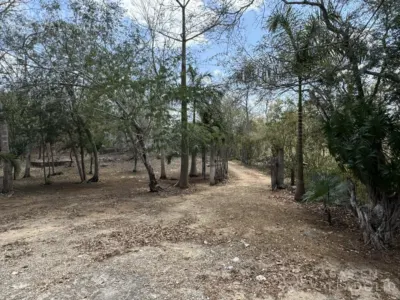 Terreno en México, Yucatán, Valladolid, Pueblo Ebtun, foto 1