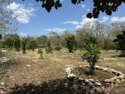 Terreno en México, Yucatán, Valladolid, Pueblo Ebtun, foto 3