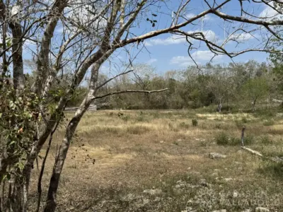 Terreno en México, Yucatán, Valladolid, Pueblo Ebtun, foto 4
