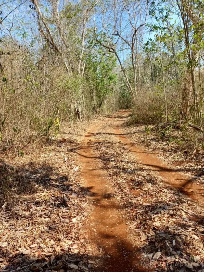 Terreno en México, Yucatán, Tekom, Pueblo Tekom, foto 1