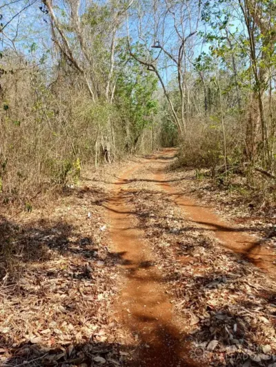 Land in México, Yucatán, Tekom, Pueblo Tekom, photo 1