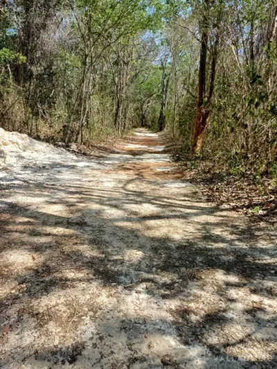 Land in México, Yucatán, Tekom, Pueblo Tekom, photo 2