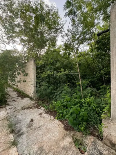 Land in México, Yucatán, Valladolid, Residencial Campestre, photo 3