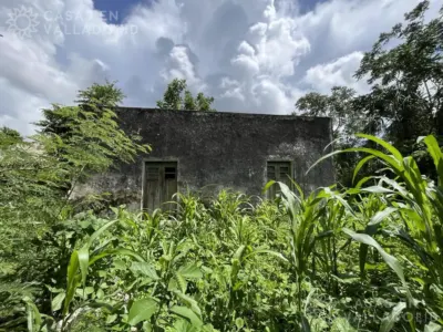 Casa en México, Yucatán, Valladolid, Pueblo Tixhualatun, foto 4